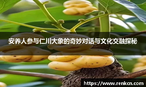 红果体育平台